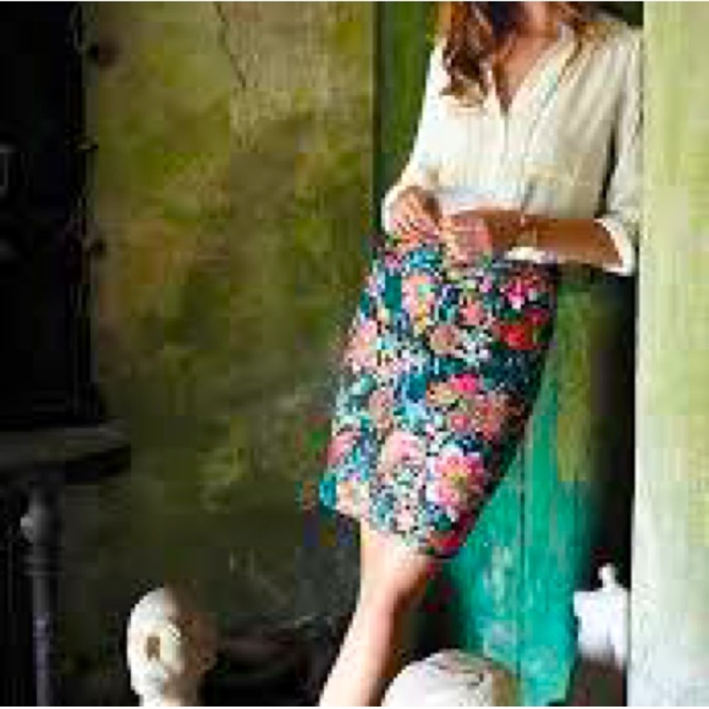 Embroidered Fiore Pencil Skirt| Anthropologie| By Yoana Baraschi| Size 2